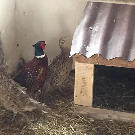 Ekoland ファームステイ *