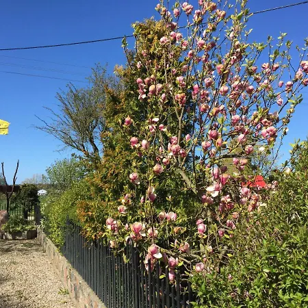 Ekoland ファームステイ