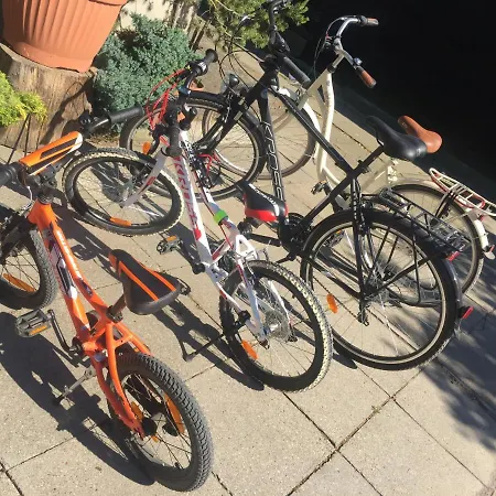 Ekoland ファームステイ