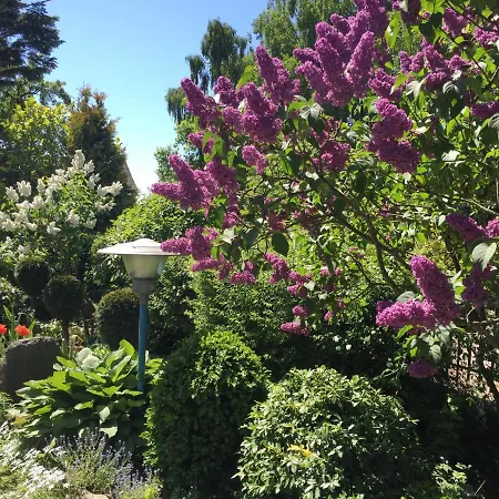 ファームステイ Ekoland Mieroszyno