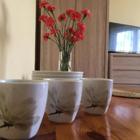 Ekoland ファームステイ Mieroszyno