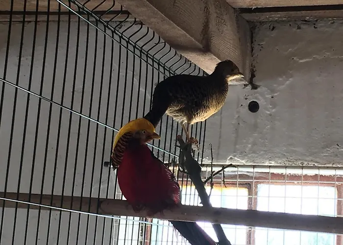 Ekoland Farma Mieroszyno